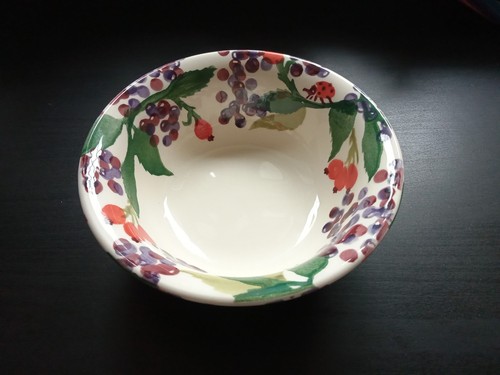Emma bridgewater rosehip and - bridgewater,