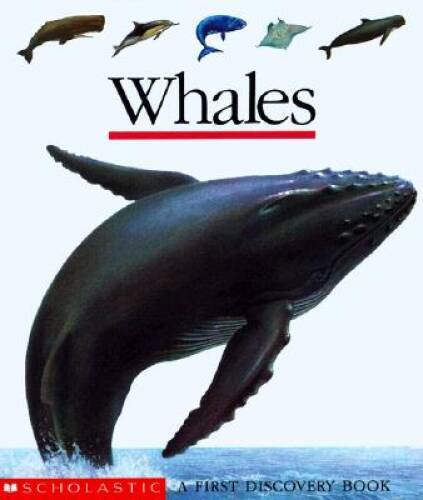Whales - , discovery