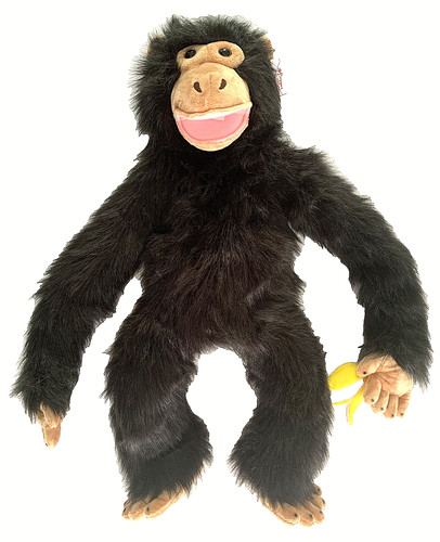 The puppet company - chimp, large