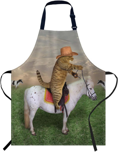 The cat cowboy - cowboy, on