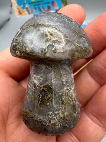 Crystal mushroom blue moss - crystal,