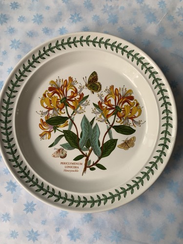 Portmeirion dinner plate - dinner,