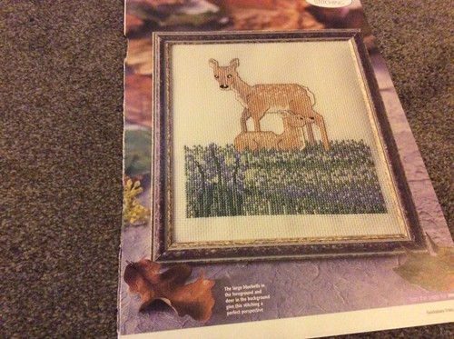 Bluebells deers scene - &,