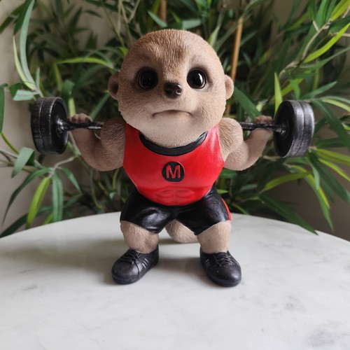 Baby meerkat weightlifter - baby,