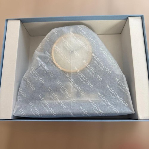 Wedgwood jasper pale blue - pale,
