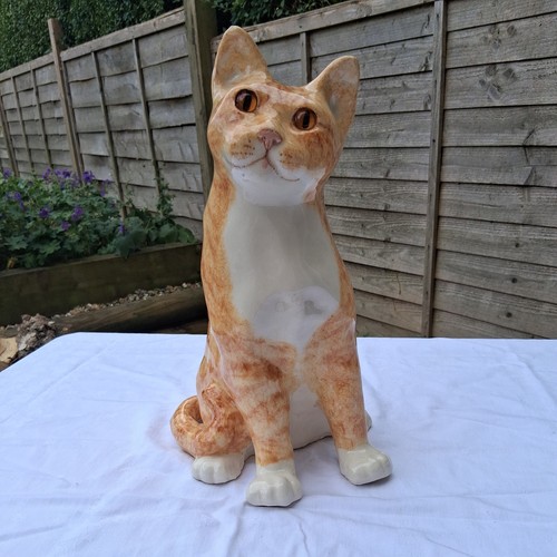Large winstanley ginger tabby - large,