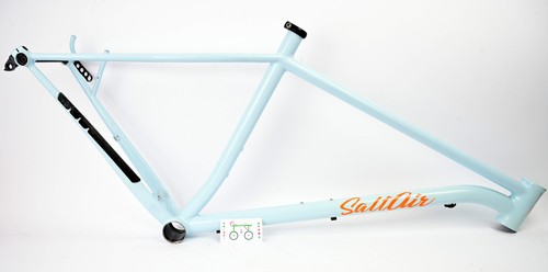 Saltair custom large steel - custom,