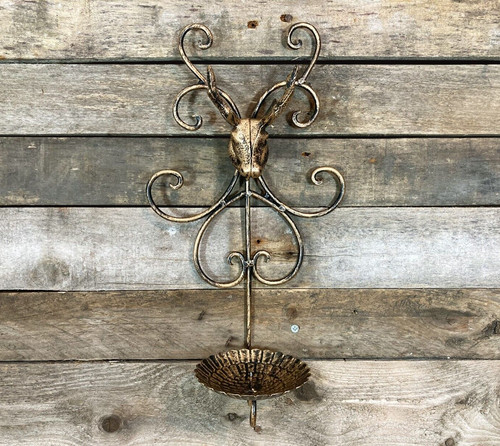 Antler stag head wall - antler,