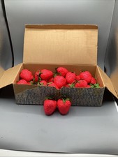 (29) Vintage Styrofoam Sugared