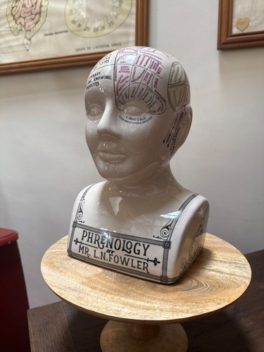 Phrenology head fowler - phrenology,