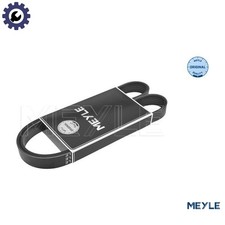 VRIBBED BELT 050 006 1075 FOR