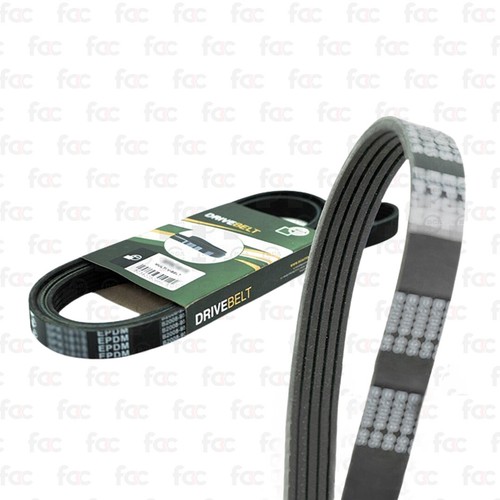 Alternator drive belt - alternator,
