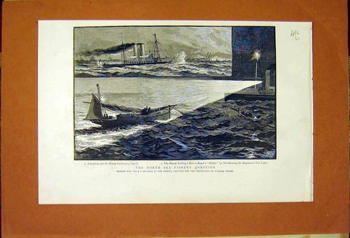Original old antique print - original,