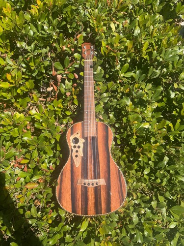 Batking 30inch baritone - batking,