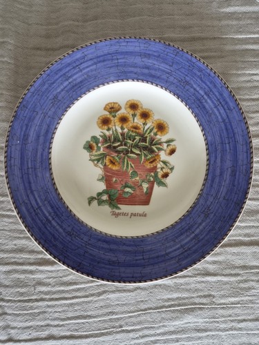 Wedgwood sarah garden - sarah's,