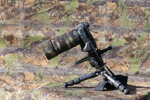 Canon 100 8 - rf, f2.8
