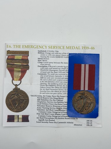 Irish emergency service medal - irish,