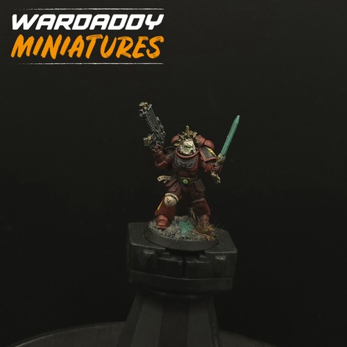 Pro painted warhammer - pro, 40k