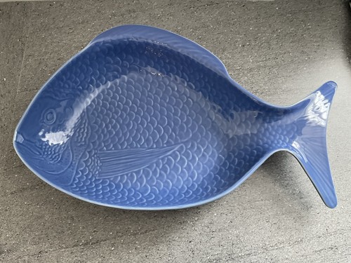 Stunning large blue fish - stunning,
