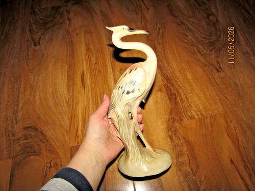 Beautiful lustre bird - beautiful,