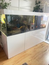 Extra large Aquarium 600L Fish