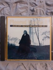 Julian Cope Floored Genius 2