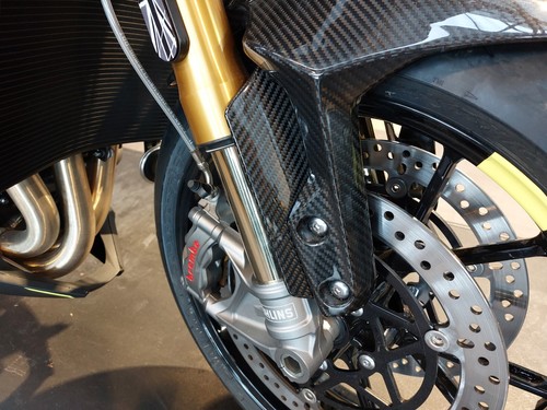 Fork protection triumph - protection,