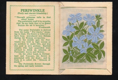 Kensitas wix silk flower and - flower,