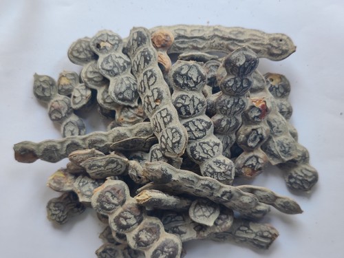 Babool organic herbal 90g - organic,