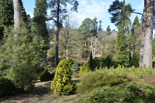 Photo 6x4 bedgebury - 6x4, pinetum