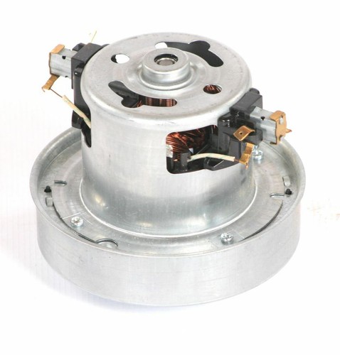 Motor for pedigroom dryer