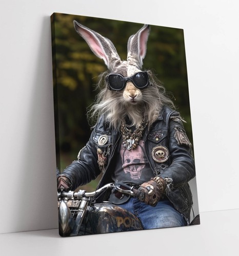 Rabbit motorbike deep - motorbike, -deep