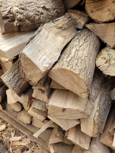 Seasoned firewood logs - seasoned,