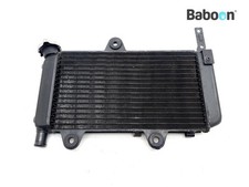 Radiator Yamaha XT 660 X