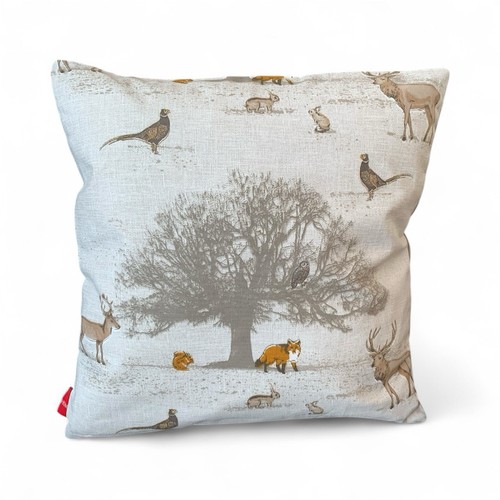 Woodland forest fox - forest,