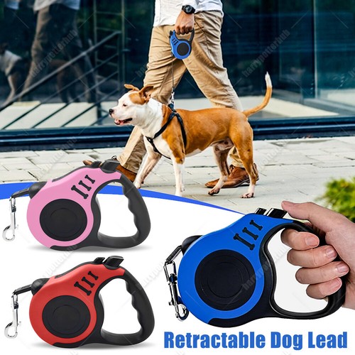 Heavy duty dog puppy - dog,