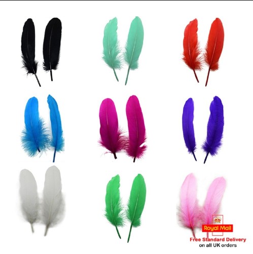 Atst solid colour goose - solid,