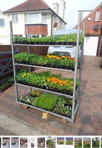 Dutch plant trolley - dutch,