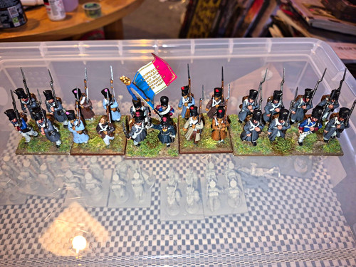 Painted napoleonic french - napoleonic,