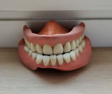 Vintage False Teeth Dentures 