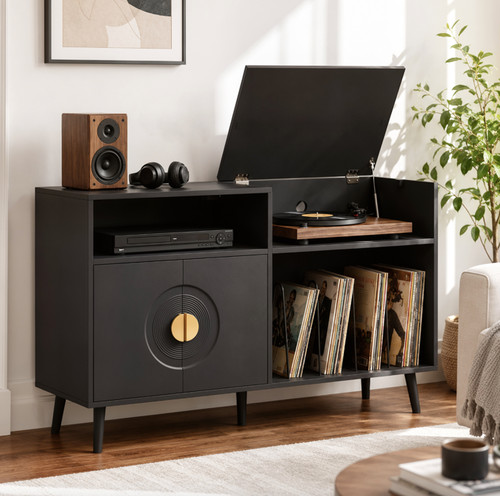 Modern hifi cabinet vinyl - hifi,