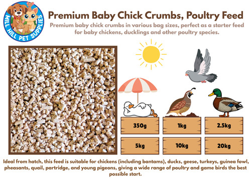 Premium argo baby chick - argo,