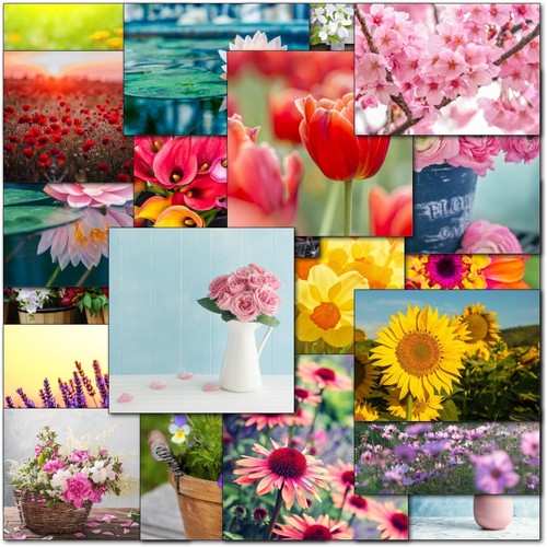 Doodlecards pack floral - pack, 20
