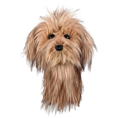 Daphne scruffy dog golf - dog,