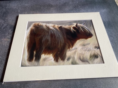 Highland cow art print - highland,