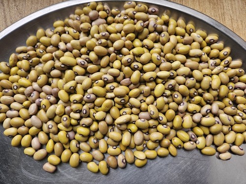 Kenya yellow dry - dry, 1kg