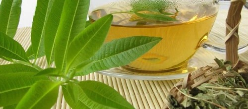 Lemon verbena biodegradable - verbena,