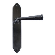 From The Anvil Gothic Door Handle on Backplate