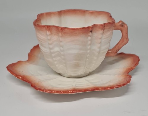 Wileman antique shell bone - antique,