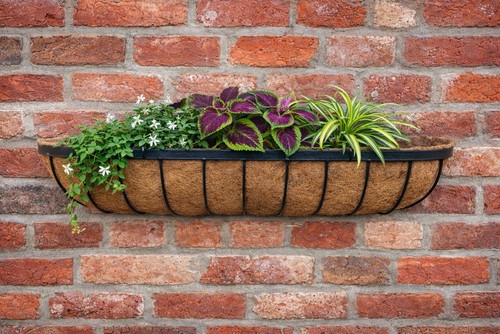 Garden window boxes - window,